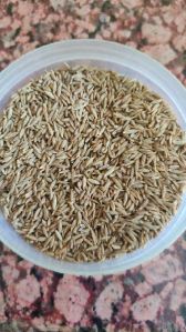 Cumin Seed