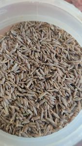 Cumin Seed European 99%