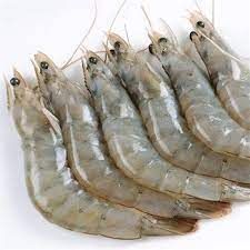 Vannemei Shrimps