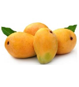 Safeda Mango