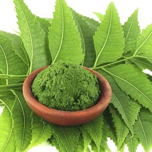 Herbal Neem Leaf Powder