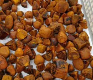 Cow & Ox Gallstones