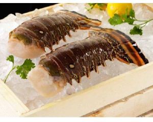 frozen lobster tail