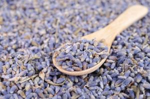 lavender seeds