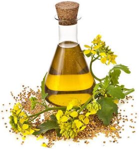 Quality Canola Oil