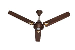 Brown Golden Eye Ceiling Fan