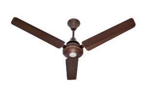 Brown Plain Ceiling Fan