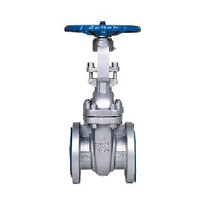 Globe Valve