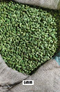 Green Cardamom Bold