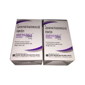 Liposomal amphotericin B injection