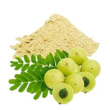 Amla Powder