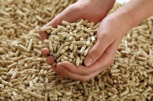 Biomass Pellet