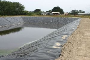 Pond Construction Services