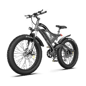 750w 48v 4 inch wide fat tire beach electric bicycle