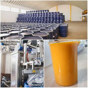 Aseptic Alphonso Mango Pulp