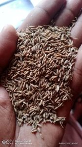 Best quality Brown Cumin Seed