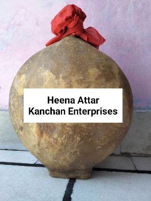 Heena Attar