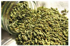 Fennel Seeds