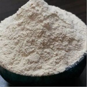 Dehydrated Drumstick Powder