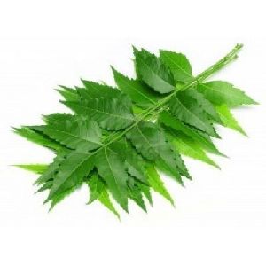 Herbal Neem Leaves