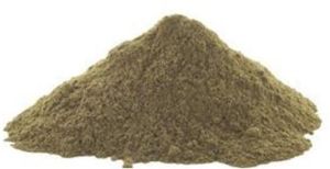 Natural Tulsi Powder