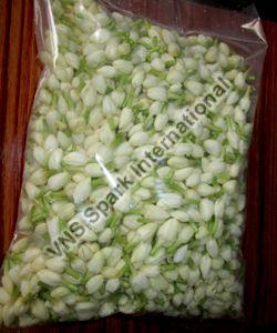 Jasmine Flowers