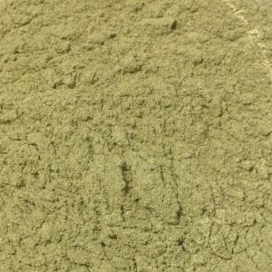 Mullein Leaf Extract