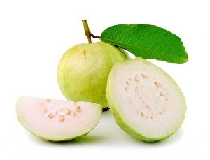 Fruits Guava
