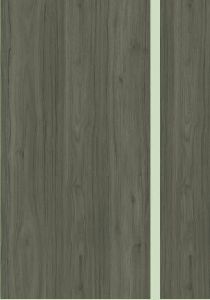 Lignium Nero Glaze Vitrified Floor Tile