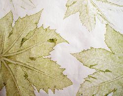Leaf Impression Handmade Paper