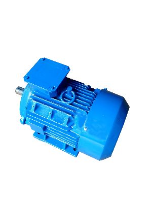 Energy Efficient Foot Type Motor