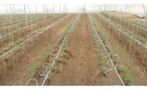 Plastic Drip Irrigation System