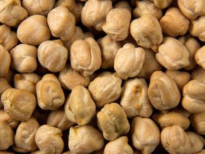 Chickpeas Seed