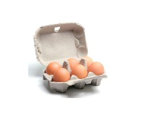 Pulp Egg Tray