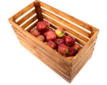 Fruit Storage Boxes