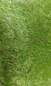 Artificial Outdoor Grass