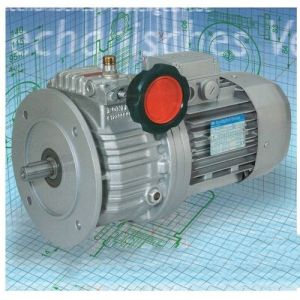 Mechanical Speed Variator