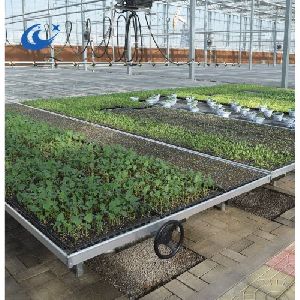 Greenhouse rolling Bench
