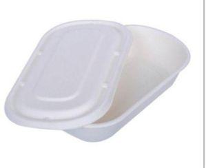 750ml Sugarcane Bagasse Takeaway Boxes