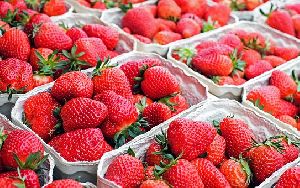 Fresh Strawberry