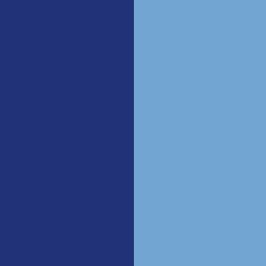 Blue BN Pigment Emulsion
