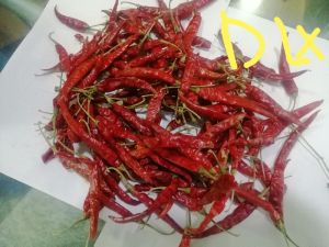 Dry Red Chili