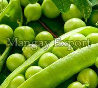 Fresh Green Peas