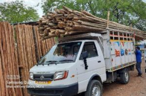 Nilgiri wooden poles.