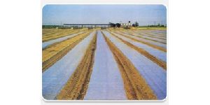 Soil Solarization Film