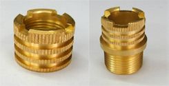 Brass Ppr Inserts