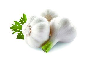 Fresh Garlic