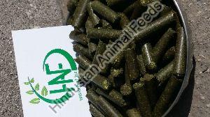 Alfalfa Hay Pellet