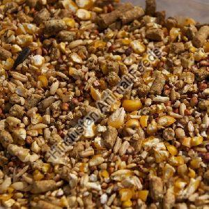 Chick Grower Feed
