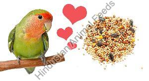 Love Birds Maintenance Feed